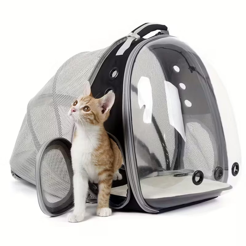 Pet Backpack Carrier with Bubble Window & Back Support
