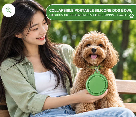 Collapsible Silicone Pet Bowl with Carabiner Clip