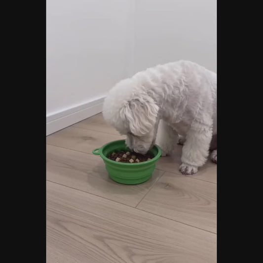 Collapsible Silicone Pet Bowl with Carabiner Clip